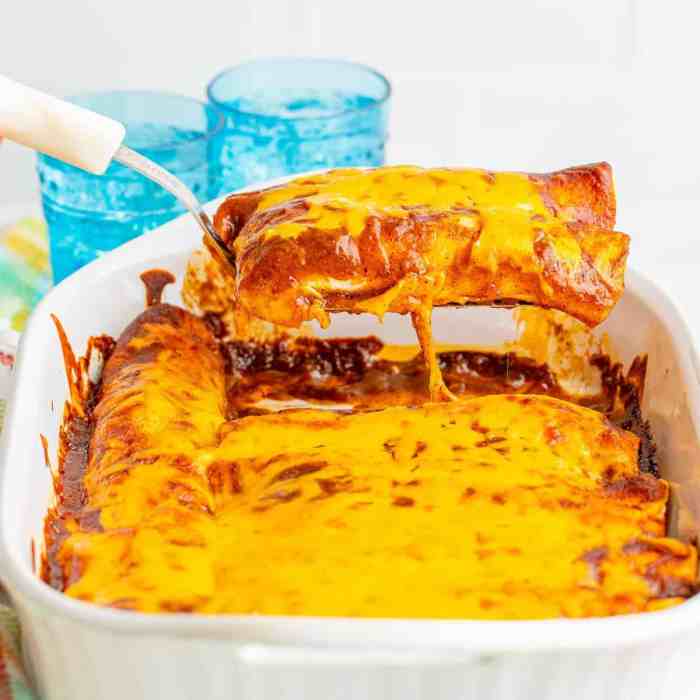 Chicken enchiladas sauce recipe