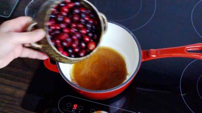 Cranberry sauce sugar free recipe