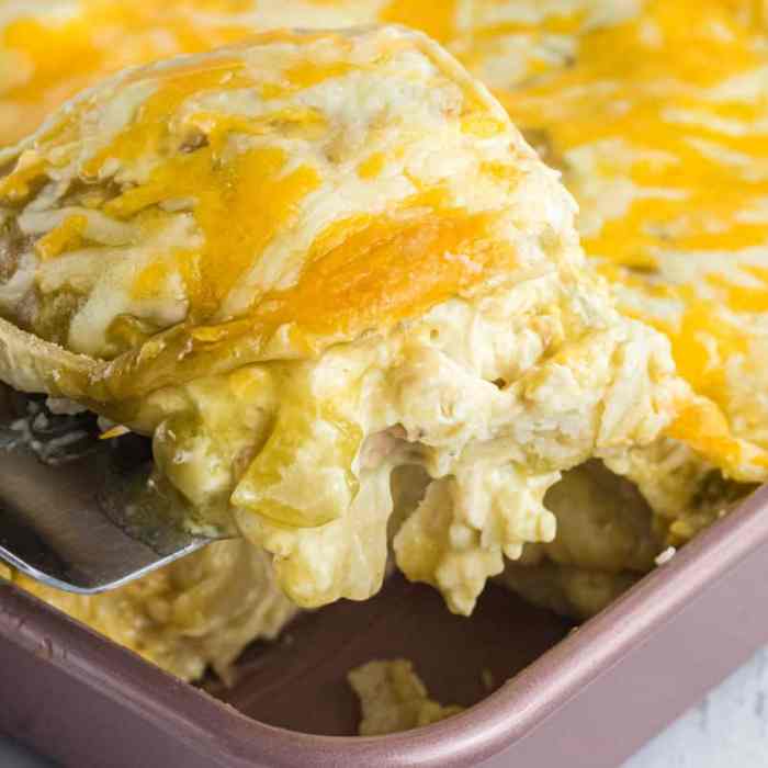 Chicken enchiladas recipe green sauce