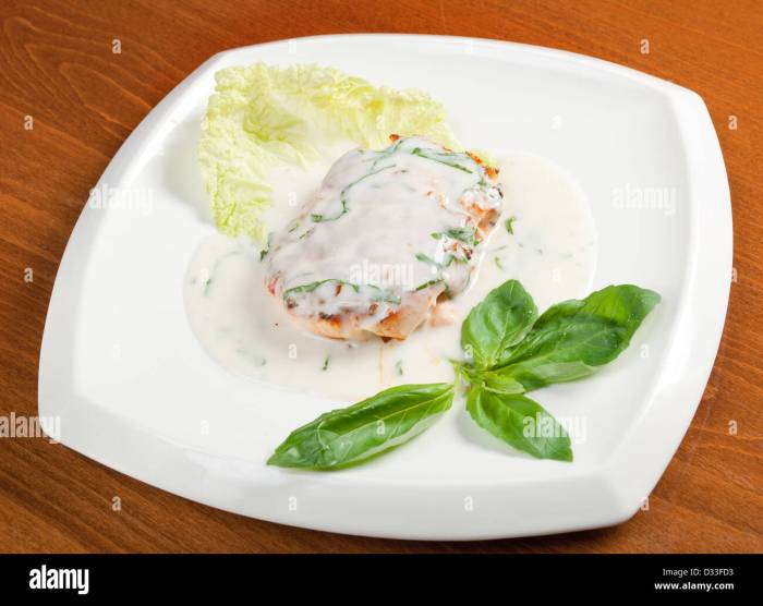 Cream sauce salmon recipe